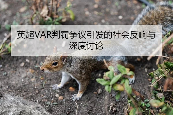 英超VAR判罚争议引发的社会反响与深度讨论